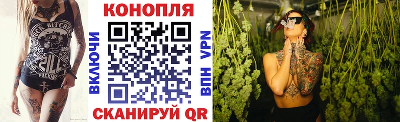 хочу наркоту  Шали  гидра как зайти  Конопля сатива 